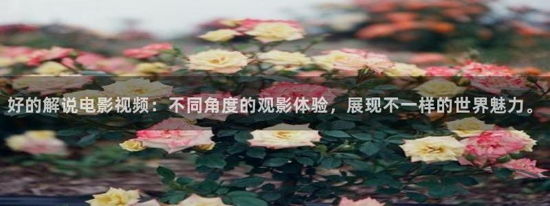 天堂电影西瓜