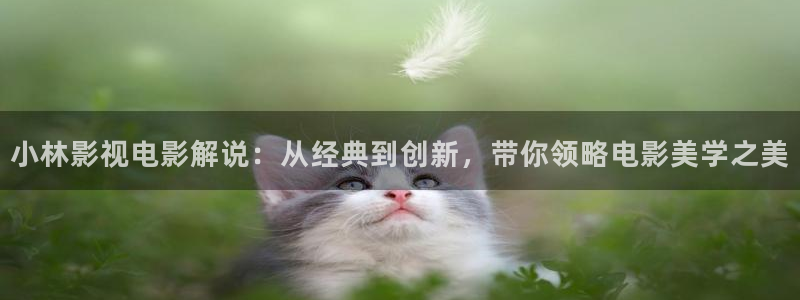天堂影院电视剧全集在线