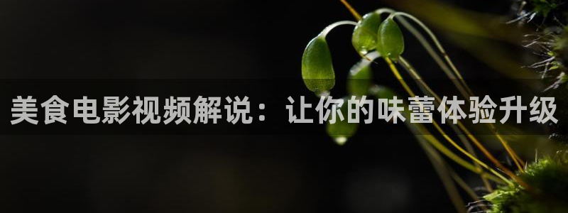 涩漫天堂网站下载