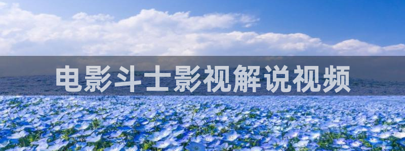 天堂行动影视