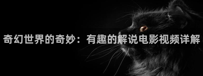 天堂动画网