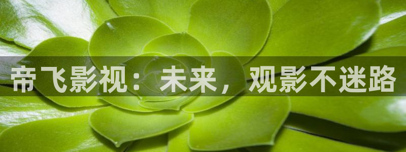 天堂午夜av