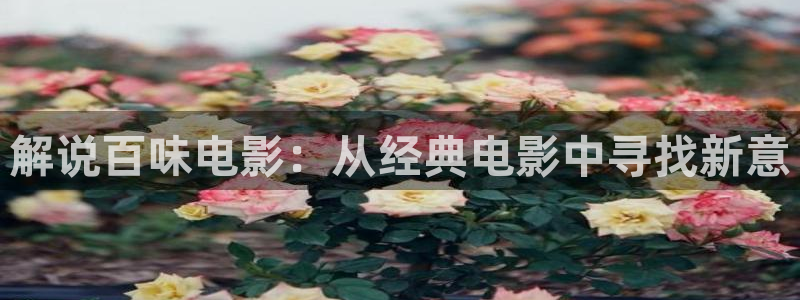 亚洲天堂不卡在线视频