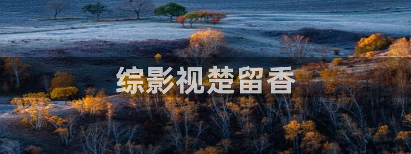 电影天堂飘雪