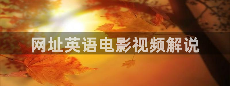 西瓜电影天堂