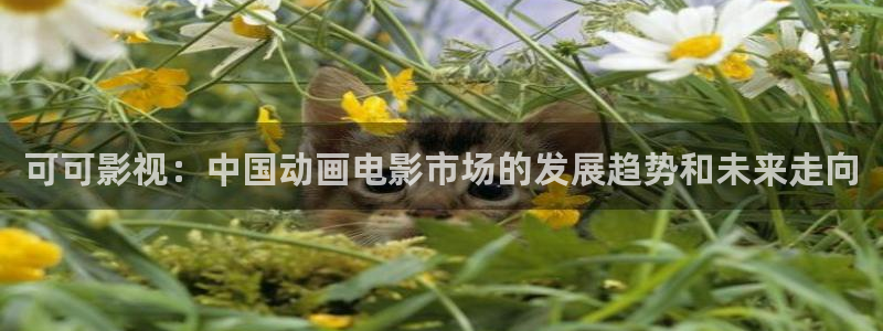 天堂网神马影院