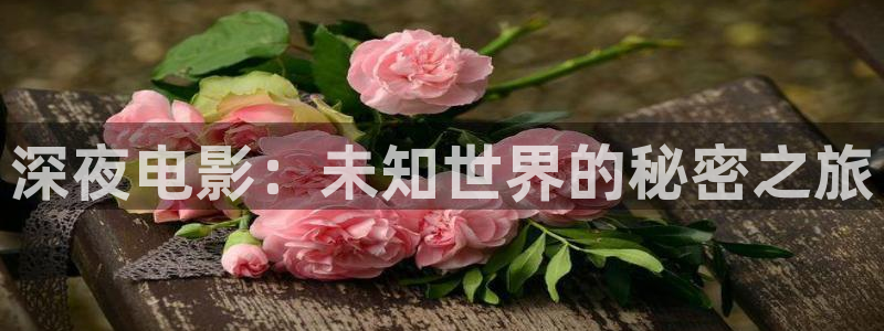 国产看片午夜天堂