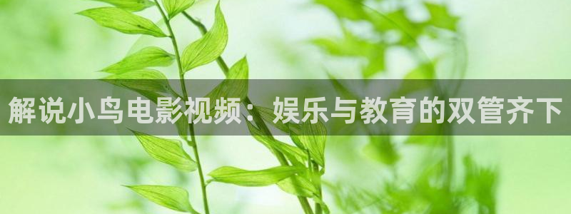 午夜电影天堂福利
