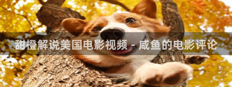 光棍天堂电影网在线