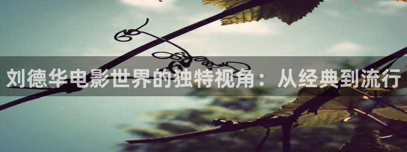 光棍天堂在线视频