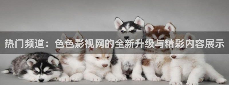 亚洲天堂私人影院