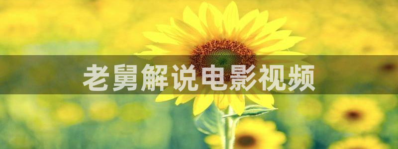 天堂动画网