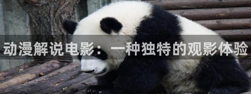 天堂无翼鸟