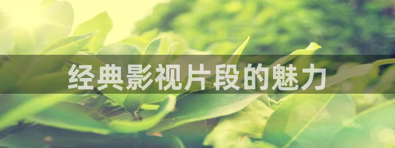 97影院天堂