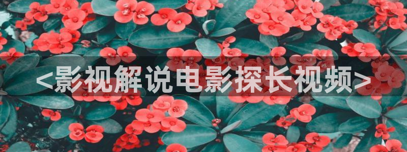 神马天堂伦理