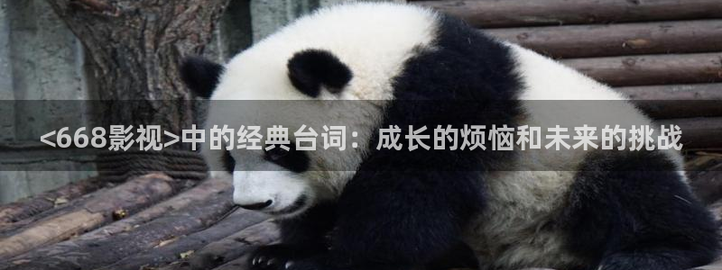 涩漫天堂免费下