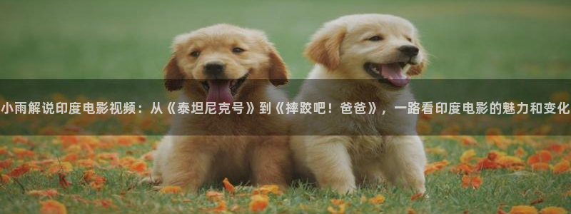 91影院男人的天堂