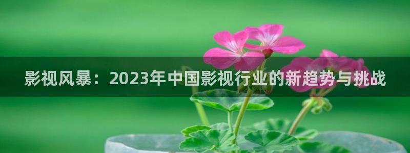 悟空电影天堂神马影视