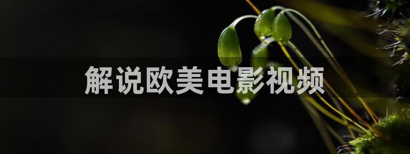 天天影视男人的天堂