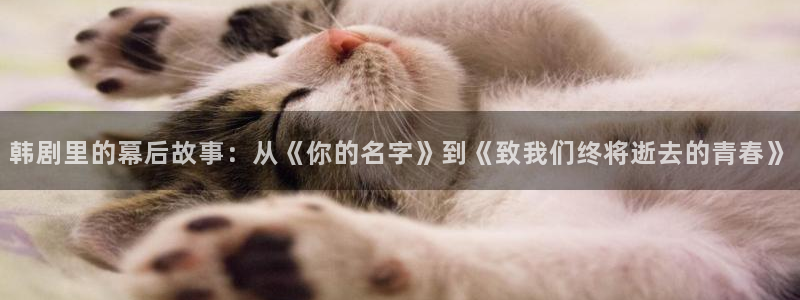 天堂影院官网在线观看电视剧