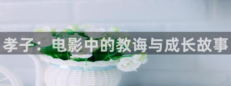 漫禁天堂官网入口