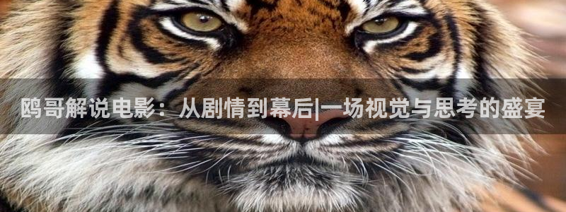 电影天堂影院在线观看