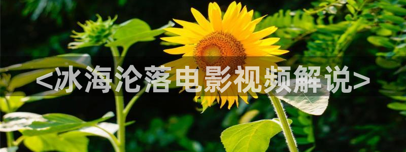 电视剧天堂不相信眼泪全集在线观看