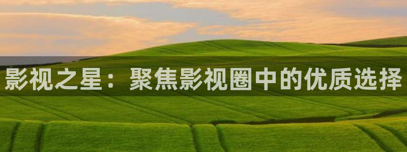 秋霞在线观看电影天堂网